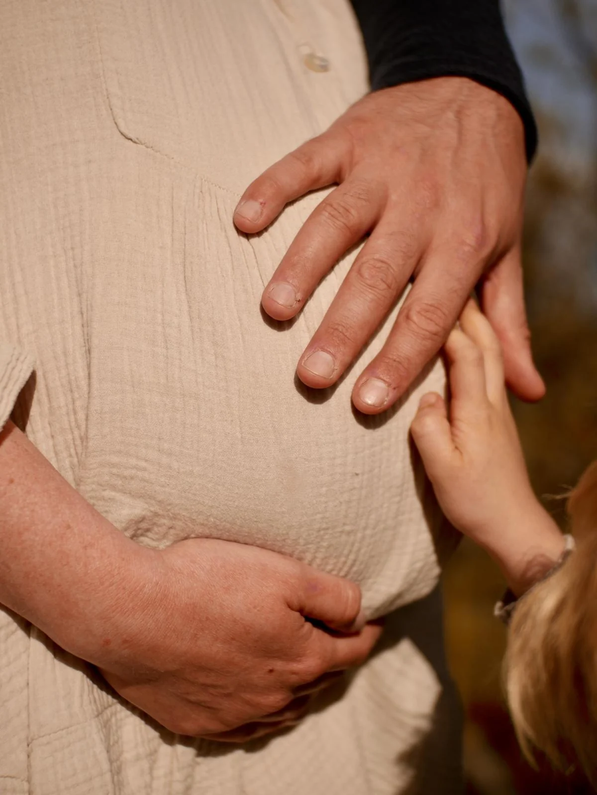 Hände einer Familie liegen behutsam auf einem Schwangerschaftsbauch